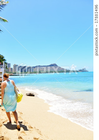 Holidays in Hawaii 17881496