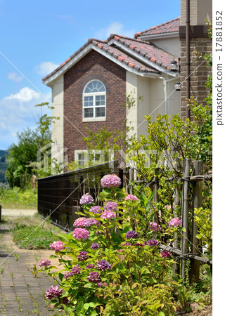 繡球花和鄉間別墅 17881852
