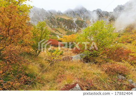 Senjakikikaru 17882404