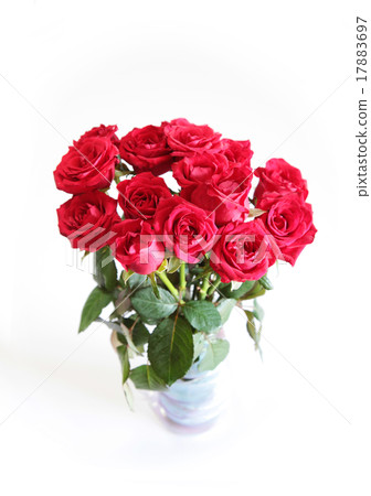 一朵紅色花花束 17883697