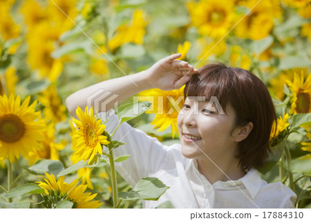向日葵田裡的女人 17884310