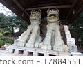 The world's largest guardian dog 17884551