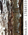 Tree of Nohara castle (skin) 17884559