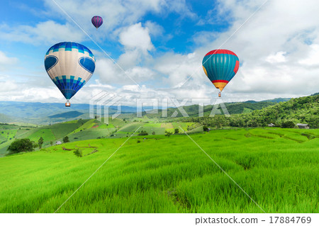 Balloon flying on rice field, Rice field Balloon flying on rice field, Rice field 17884769