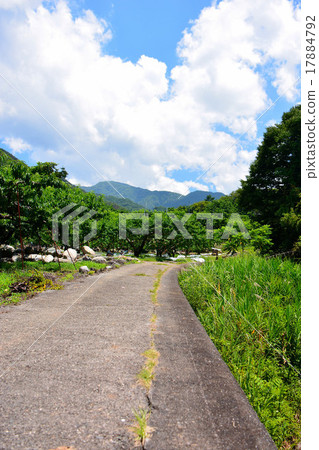 農場路 農場路 17884792