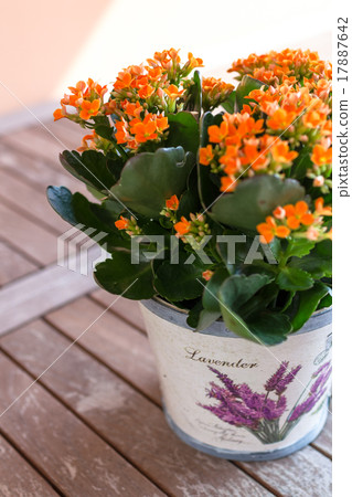 Flower pot 17887642