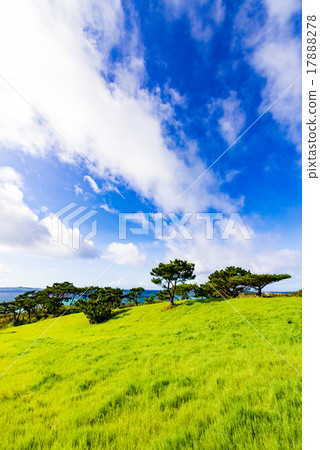 Prairie, green, landscape. Okinawa, Japan. Prairie, green, landscape. Okinawa, Japan. 17888278