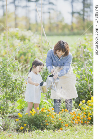 Parent and child gardening 17888748