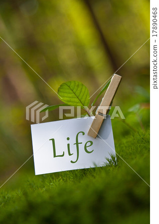 Life, lust, love 17890468