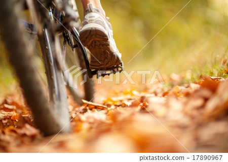 foot on pedal of bicycle 17890967