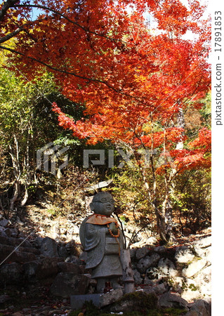 地藏菩薩和秋葉 17891853