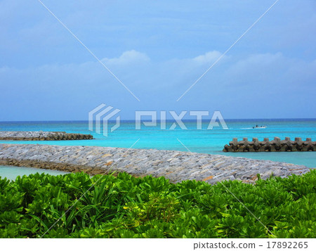 茶花海岸 17892265