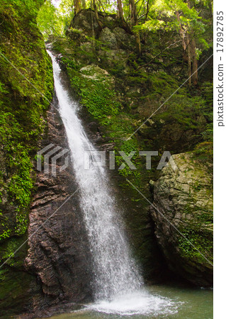 高知縣Ryuo Otofoncho的瀑布 17892785