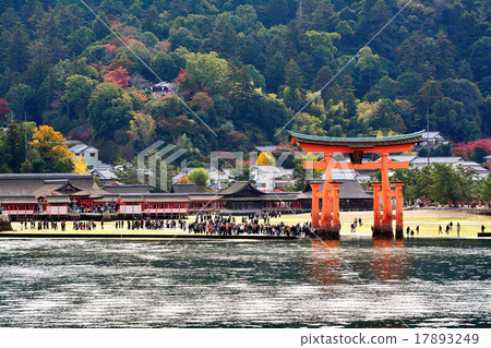 宮島 17893249