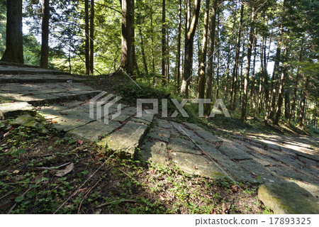 Fujisaka (rocky road of Iwamura castle) Fujisaka (rocky road of Iwamura castle) 17893325