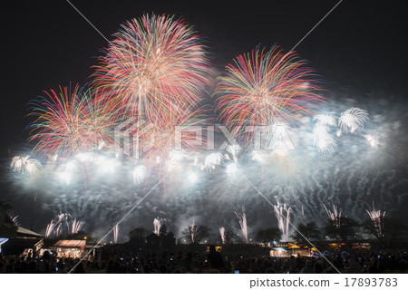 [Ibaraki Prefecture] Tsuchiura National Fireworks Competition Tsuchiura Fireworks 17893783