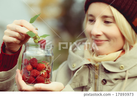 Raspberry picking 17893973