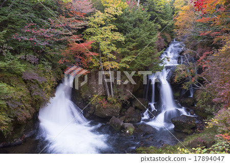 栃木縣日光市Ryuu Taki瀑布10月 17894047