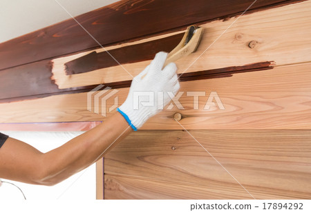 Painter Painter 17894292