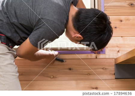 Painter Painter 17894636