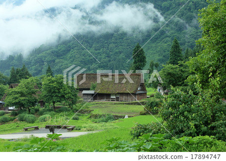 Aokura村 Aokura村 17894747