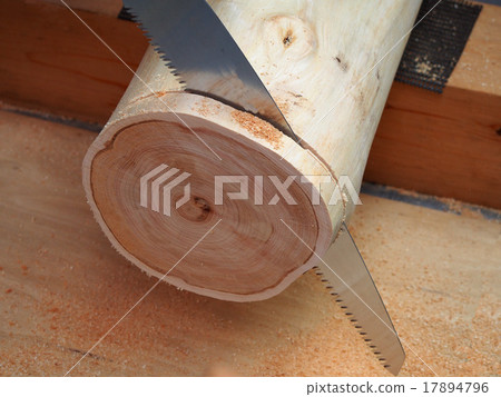 Cutting of logs Cutting of logs 17894796