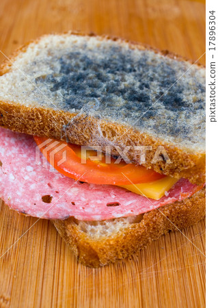 moldy sandwich with salami, tomatoes moldy sandwich with salami, tomatoes 17896304