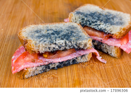 moldy sandwich with salami, tomatoes moldy sandwich with salami, tomatoes 17896306