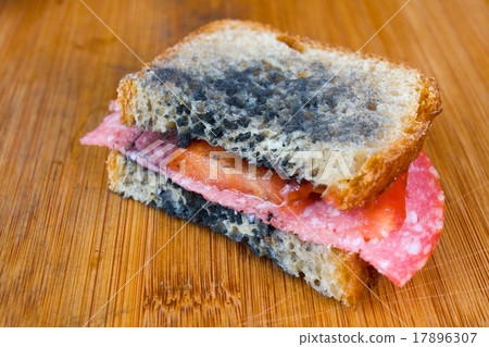 moldy sandwich with salami, tomatoes moldy sandwich with salami, tomatoes 17896307