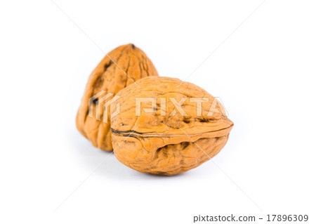 walnut isolated on the white background 17896309