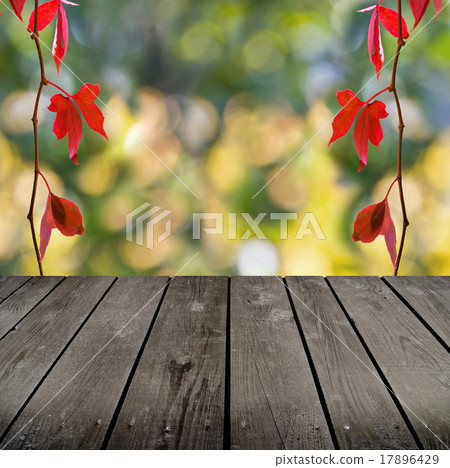 autumn theme and empty wooden deck table 17896429