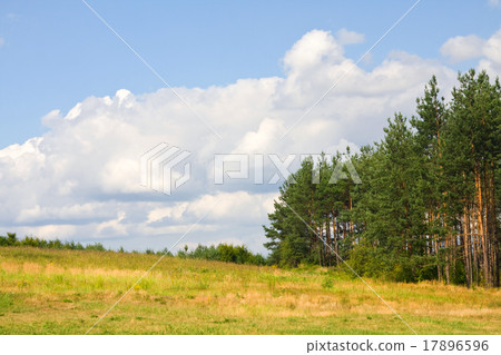 Beautiful summer landscape. Beautiful summer landscape. 17896596