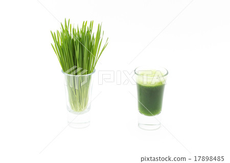 Wheatgrass juice 17898485