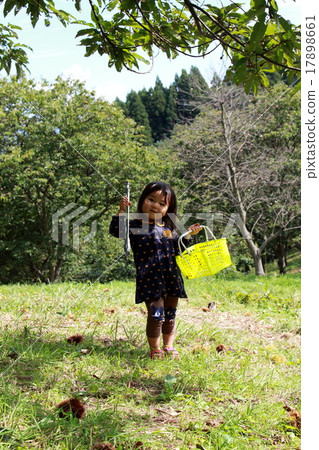 一個做栗子狩獵的女孩 17898661