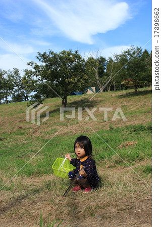 一個做栗子狩獵的女孩 17898662