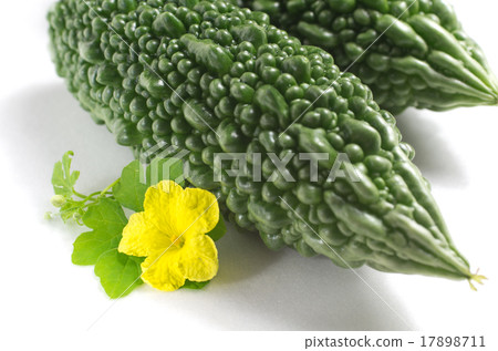 Bitter gourd Bitter gourd 17898711
