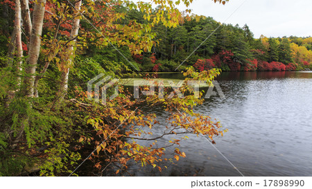 Shirakawa Pond 17898990