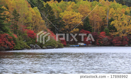 Shirakawa Pond 17898992