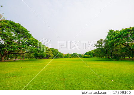 Beautiful green park and meadow Beautiful green park and meadow 17899360