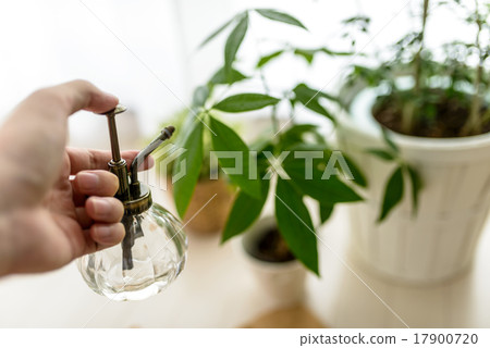 園藝用品/配件 17900720