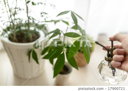 園藝用品/配件 17900721