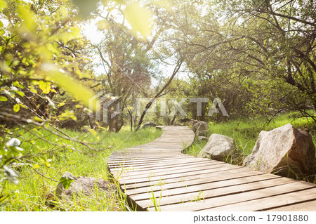 Wooden trail across countryside Wooden trail across countryside 17901880