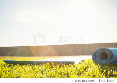 Exercise mat lying on the grass 17901908