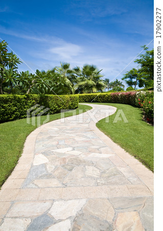Curved stone footpath in a garden 17902277