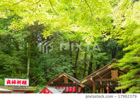 京都野宮神社 17902379