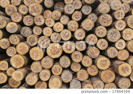 Forestry 003 Forestry 003 17904109