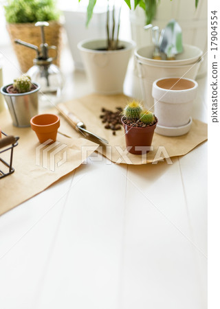 Gardening supplies / accessories Gardening supplies / accessories 17904554