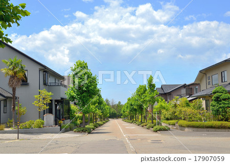 Midori's tree-lined avenue and residential area 17907059