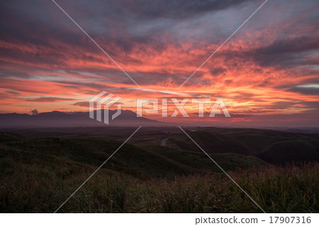 晨光 晨光 17907316