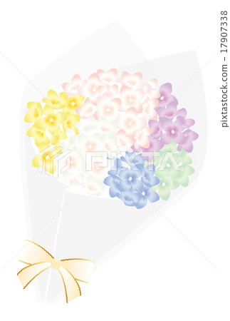 hydrangea   17907338